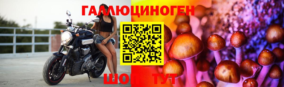 Галлюциногенные грибы MAGIC MUSHROOMS  Псилоцибиновые грибы MAGIC MUSHROOMS  Алатырь  Вход с VPN 